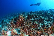 Ambiance Catherine-Maldives Dhidhoo beyru-22m-20240425-da-DSC_6876_tn
